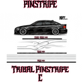 Tribal Pinstripe C